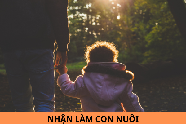 Người trên 18 tuổi có được nhận làm con nuôi không? Những đối tượng nào không được nhận con nuôi?