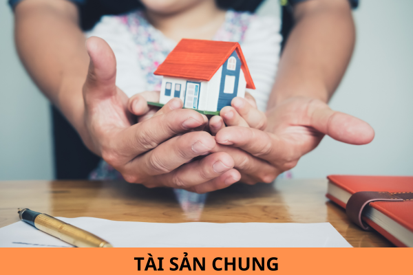 Tài sản chung của vợ chồng gồm những gì? Các yếu tố được xem xét trong phân chia tài sản chung của vợ chồng khi ly hôn?