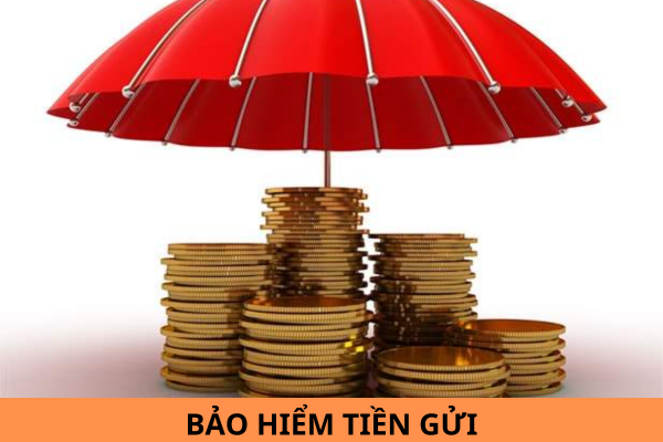 Bảo hiểm tiền gửi là? Mục đích của bảo hiểm tiền gửi được quy định thế nào?