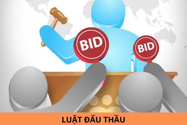 Luật Đấu thầu mới nhất năm 2024 và các văn bản hướng dẫn?