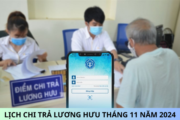 Lịch chi trả lương hưu tháng 11 năm 2024? Từ ngày 01/7/2025 người tham gia bảo hiểm xã hội bắt buộc bao nhiêu năm thì được hưởng lương hưu?