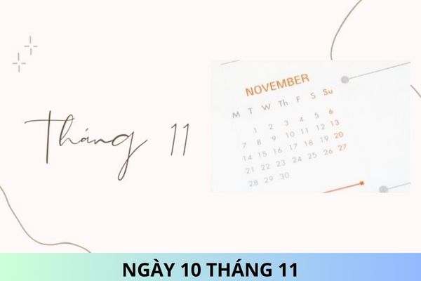 What  is  November  10?  What  standards  and  conditions  must  a  chief  accountant  meet?