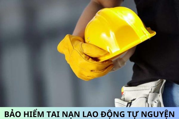 Đã có Nghị định 143/2024/NĐ-CP quy định về bảo hiểm tai nạn lao động theo hình thức tự nguyện đối với người lao động làm việc không theo hợp đồng lao động?