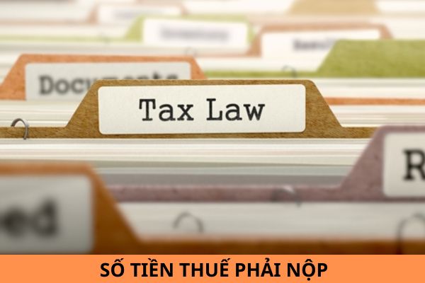 Mẫu 02/XĐ-PNTT Bản xác định số tiền thuế phải nộp theo tháng tăng thêm so với số đã kê khai theo quý theo Thông tư 80?