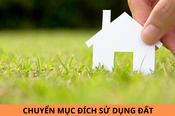 Mẫu Quyết định cho phép chuyển mục đích sử dụng đất mới nhất năm 2024?