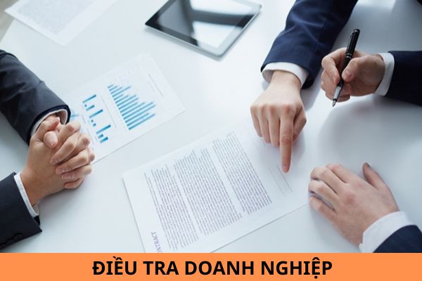 Năm 2025, 07 nội dung thu thập để điều tra doanh nghiệp là gì?