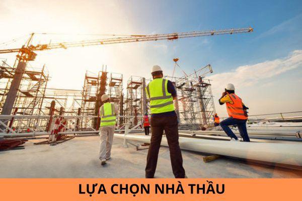 Mẫu 01A tờ trình kế hoạch tổng thể lựa chọn nhà thầu theo Thông tư 06/2024/TT-BKHĐT?