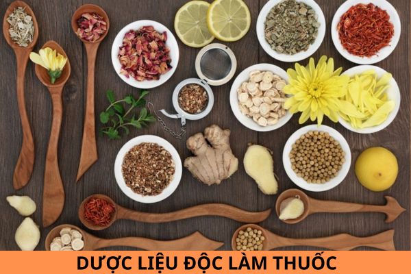 Danh mục dược liệu độc làm thuốc áp dụng từ ngày 10/10/2024?