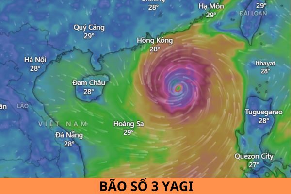 Which Provinces Will Typhoon No. 3 Yagi Directly Hit?