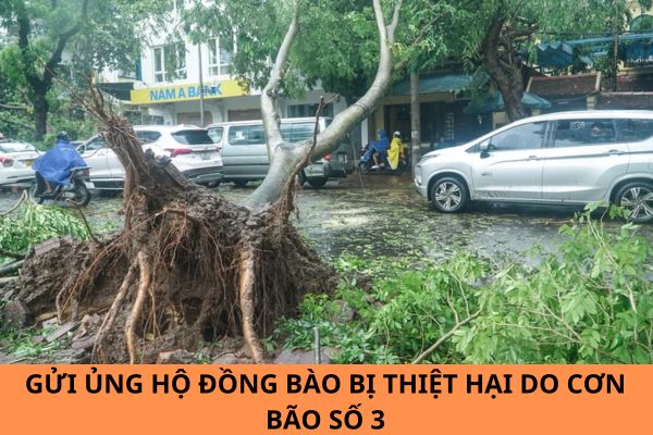 Gửi ủng hộ đồng bào bị thiệt hại do cơn bão số 3 đến Mặt trận Tổ quốc Việt Nam thế nào?