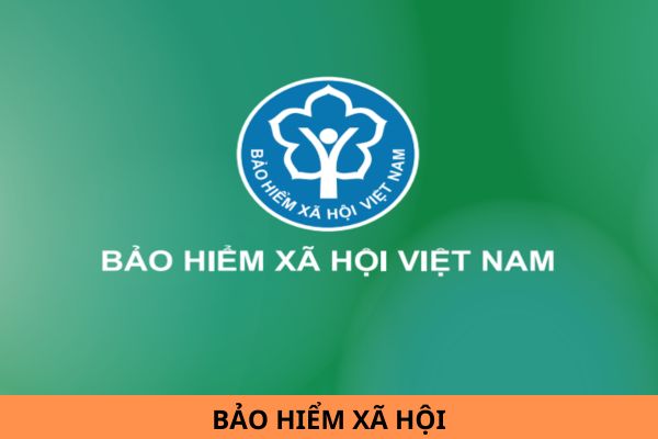 Những hành vi nào bị cấm khi tương tác trên Zalo Bảo hiểm xã hội Việt Nam?