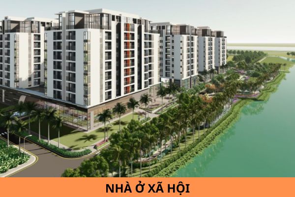 Hỏi đáp Pháp vtv5 trực tiếp bóng đá hôm nay