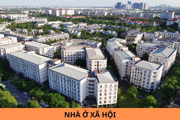 Mẫu Hợp đồng cho thuê nhà ở xã hội mới nhất năm 2024?