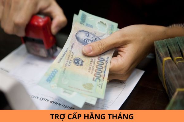 Mức trợ cấp hằng tháng của quân nhân đã phục viên, xuất ngũ, thôi việc từ ngày 01/11/2024 là bao nhiêu?