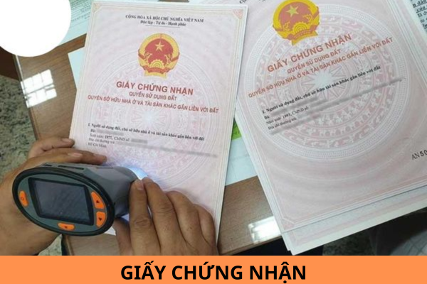 Nhà nước thu hồi giấy chứng nhận đã cấp trong các trường hợp nào?