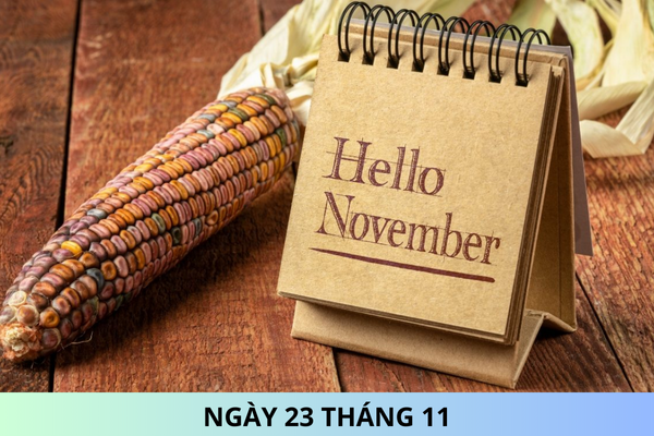 Ngày 23 tháng 11 là ngày gì? Ngày 23 tháng 11 năm 2024 là ngày bao nhiêu âm?