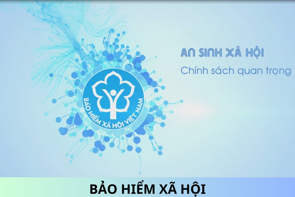 Chậm đóng bảo hiểm xã hội bắt buộc, bảo hiểm thất nghiệp là hành vi gì?