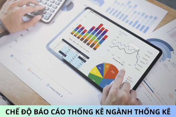 Chế độ báo cáo thống kê ngành Thống kê có các nội dung nào?