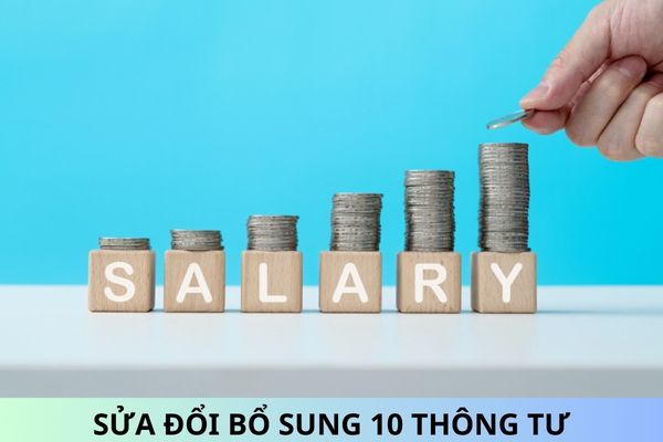 Sửa đổi, bổ sung 10 Thông tư hướng dẫn về lao động, tiền lương, thù lao, tiền thưởng từ ngày 29/12/2024?