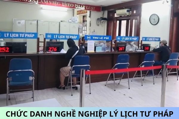 Thông tư 13/2024/TT-BTP quy định mã số, tiêu chuẩn chức danh nghề nghiệp Lý lịch tư pháp?