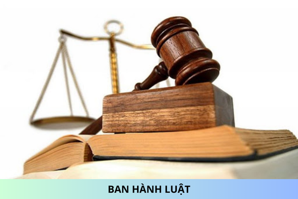 Promulgation  of  the  Law  Amending  the  Law  on  Planning,  the  Law  on  Investment,  the  Law  on  Public-Private  Partnership  Investment,  and  the  Law  on  Bidding  2024?