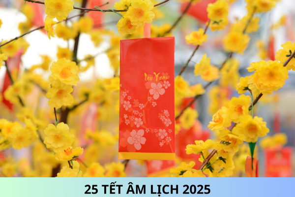 What  is  the  Gregorian  Date  Equivalent  for  the  25th  Day  of  the  Lunar  New  Year  2025?  Will  there  be  fireworks  for  the  2025  Lunar  New  Year?