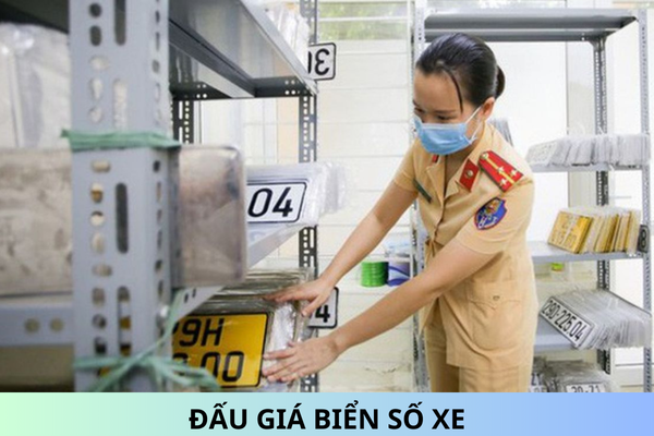 Ban hành Nghị định 156/2024/NĐ-CP quy định về đấu giá biển số xe?