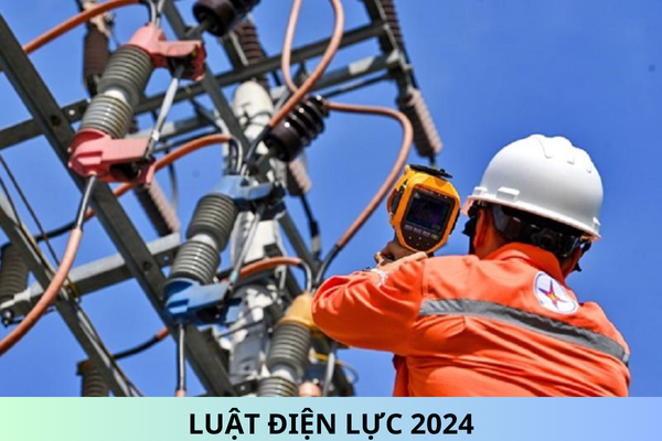 Ban hành Luật Điện lực 2024 áp dụng từ ngày 01/02/2025?