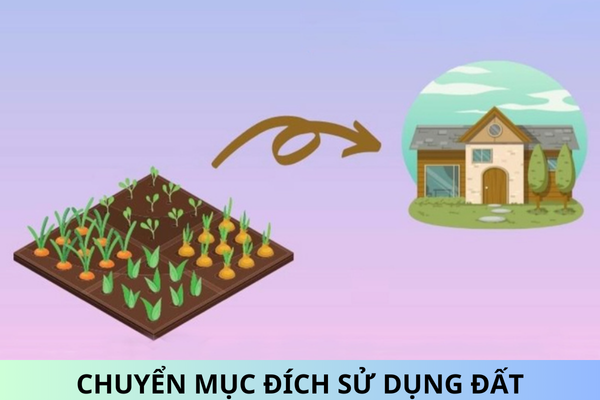 Các trường hợp nào không được tự ý chuyển mục đích sử dụng đất? Tự ý chuyển mục đích sử dụng đất trồng lúa thì bị phạt bao nhiêu tiền?