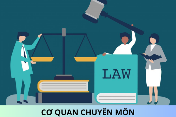 Đã có Công văn 24/CV-BCĐTKNQ18 năm 2024 định hướng, gợi ý nội dung sắp xếp tổ chức cơ quan chuyên môn thuộc UBND cấp tỉnh, huyện?