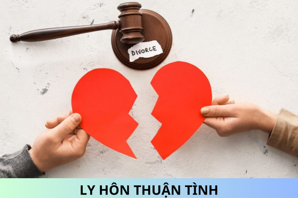 Mẫu Đơn ly hôn thuận tình mới nhất 2024 và hướng dẫn cách viết?