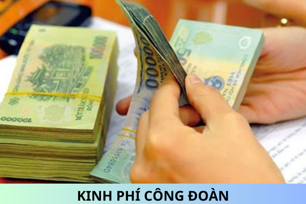 Từ ngày 01/7/2025, trường hợp nào được miễn, giảm, tạm dừng đóng kinh phí công đoàn?