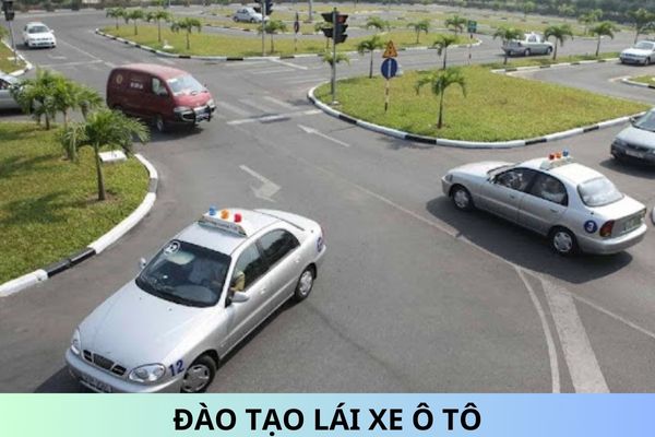 7 Trường hợp vi phạm bị thu hồi giấy phép đào tạo lái xe ô tô?