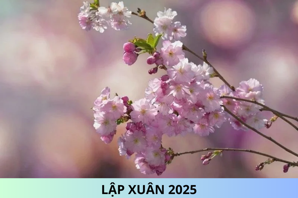 Lập xuân 2025 là ngày nào? Lập xuân 2025 là ngày bao nhiêu âm?