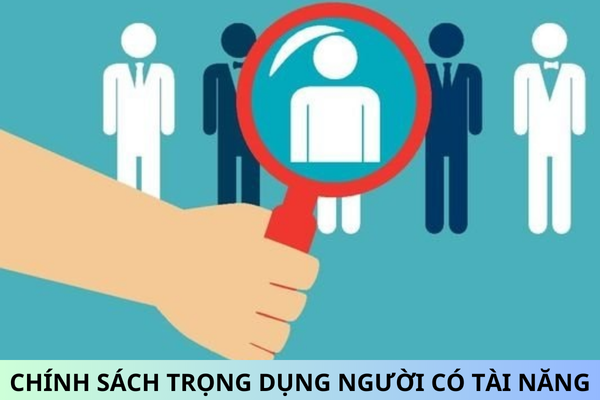 Đã có Nghị định 179/2024/NĐ-CP chính sách trọng dụng người có tài năng làm việc trong cơ quan Đảng, Nhà nước?