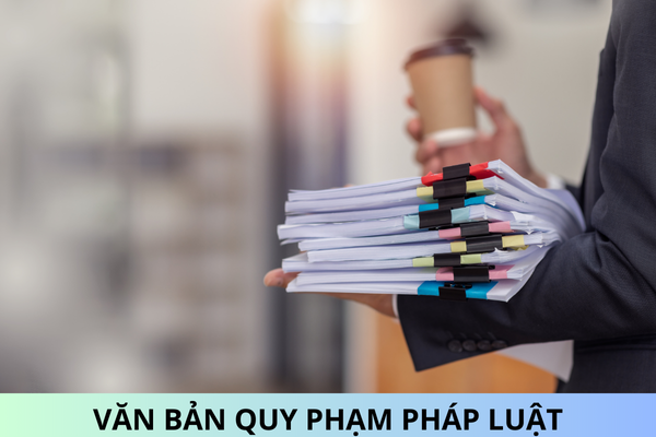 Đã có Thông tư 49/2024/TT-BYT bãi bỏ văn bản quy phạm do Bộ Y tế liên tịch ban hành?