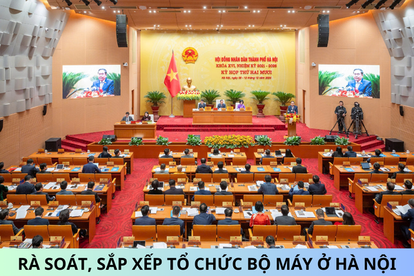 Has Plan 01/KH-UBND for 2025 to review and reorganize the organizational apparatus in Hanoi been issued?