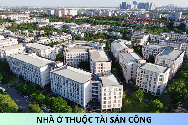 Nhà ở thuộc tài sản công nào chịu thuế giá trị gia tăng?