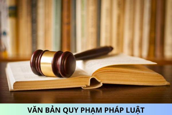 Bãi bỏ 9 văn bản quy phạm pháp luật do Bộ trưởng Bộ Công an ban hành?