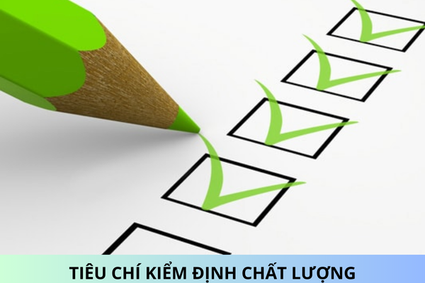 8 Tiêu chí kiểm định chất lượng trường trung cấp, trường cao đẳng từ ngày 15/02/2025?