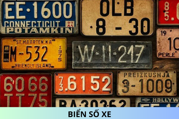 Which province does the license plate number 19 belong to? How many colors does the background of the license plate have?