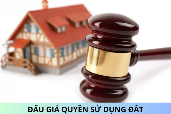 Trúng đấu giá quyền sử dụng đất nhưng không nộp tiền bị xử lý thế nào?