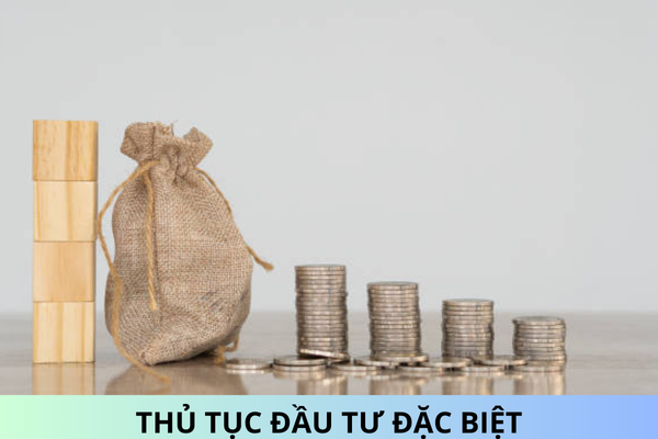 Danh mục các mẫu văn bản liên quan đến thủ tục đầu tư đặc biệt năm 2025?