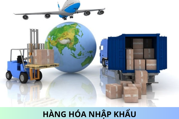 Hàng hóa nhập khẩu trong trường hợp nào không chịu thuế giá trị gia tăng?