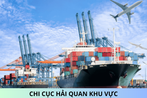 Chi tiết danh sách 20 Chi cục Hải quan khu vực từ ngày 01/03/2025?