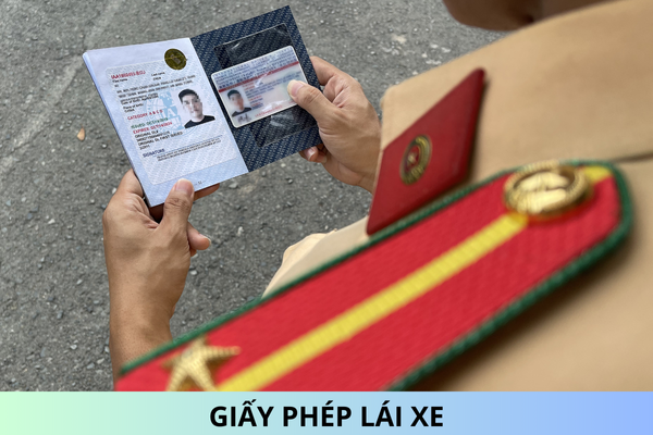 Mẫu giấy phép lái xe từ ngày 01/03/2025? Giấy phép lái xe có các thông tin nào?