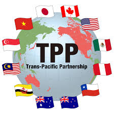 TPP - Chương 30 - Điều khoản thi hành