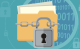 Should Information of Litigants be Encrypted in Court Judgments and Decisions?