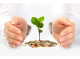 Upcoming Regulation on Microinsurance for the Poor