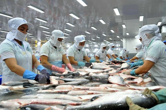 Xuất khẩu sản phẩm cá Tra qua Hải quan không cần giấy tờ